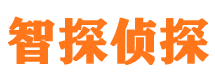 屏山市私家侦探